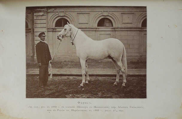 Щербатов, А.Г., Строганов, С.А. Книга об арабской лошади: С рис. лошадей и табл. пород. СПб., 1900.